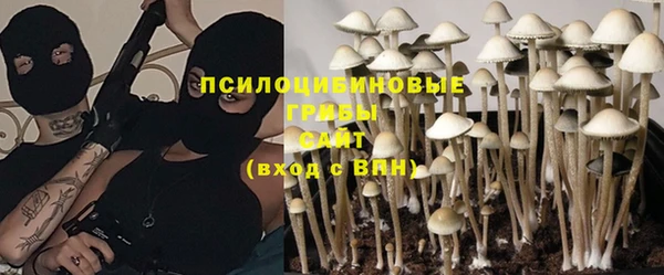 круглые Заводоуковск